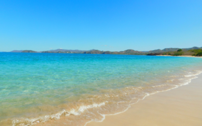 Tamarindo beach guide