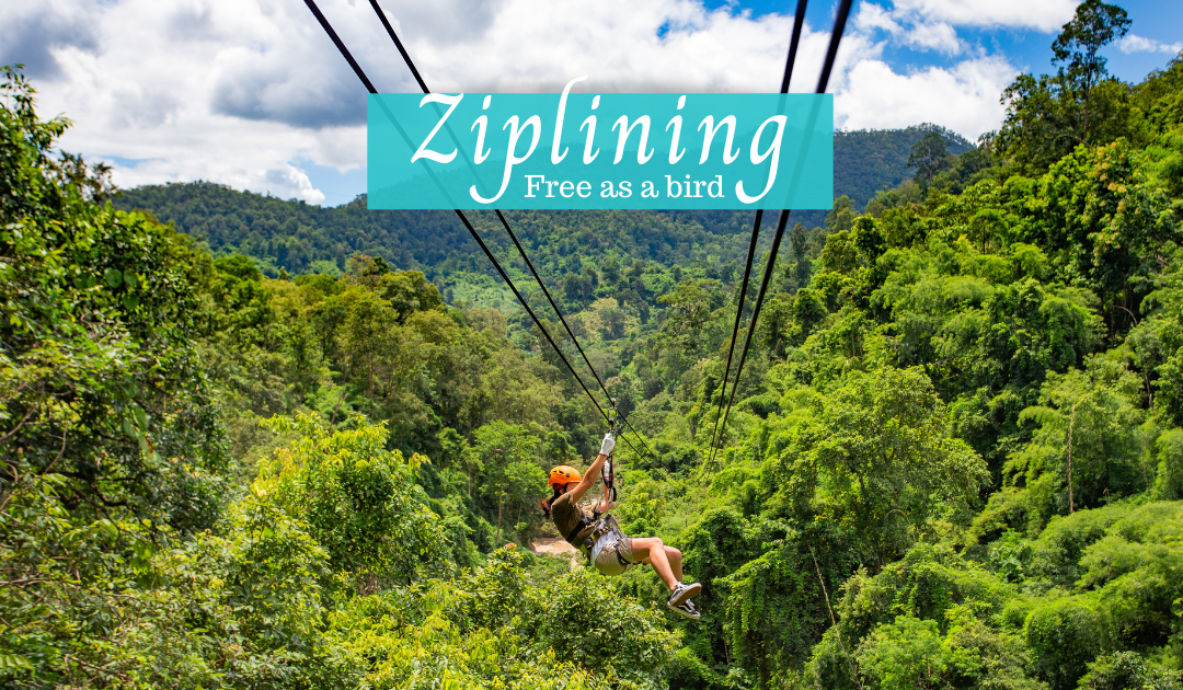 Ziplining tour from Tamarindo