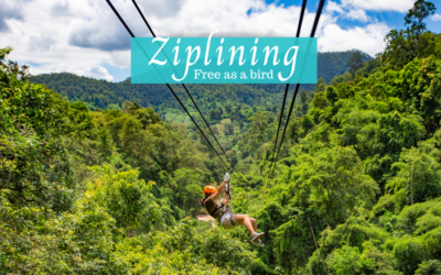 Ziplining tour from Tamarindo